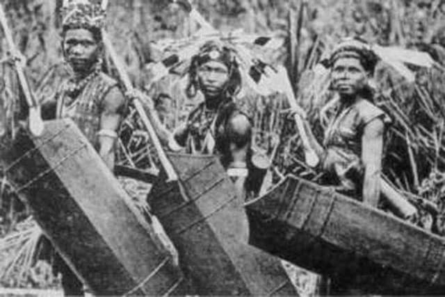 Sejarah: Suku Dayak Kenyah dan Perisai Perang 2 Dayak