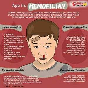 1.Hemofola