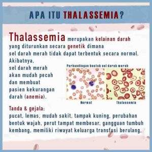 6. Thalassemia